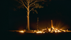 <b>建立起全新的聪慧供应</b>